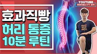 허리통증 운동 10분 해결, 1탄