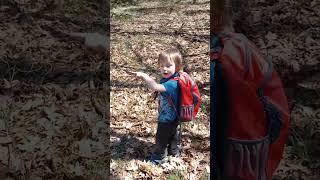 He Led The Hike Through The Forest!  #alphaacres #forest #homesteading #nature #wilderness #life