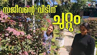 സജീവന്റെ വീടിനു ചുറ്റും /Gardening /Miawakki /Landscaping /AJUS WORLD