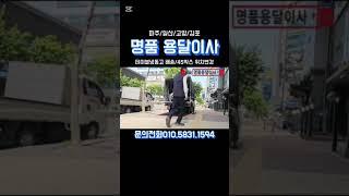 #인생지혜#이사달인#명품#멘탈강화#용달이사#노하우#리프트용달#이사견적#보관이사#전화모#동기부여#노력#극한직업#소형이사#1톤리프트#쇼케이스#업소용냉장#shorts#전기트럭#원룸이사