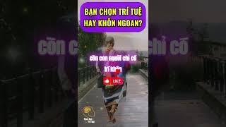 SƯ MINH TUỆ: BẠN CHỌN TRÍ TUỆ HAY TRÍ KHÔN?, CÒN KHÔN LÀ CÒN KHỔ | TSTT #shorts