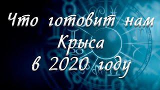 Прогноз на 2020 год для каждого знака Зодиака