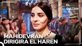 La Dirección del Haren Está Ahora en Manos de Mahidevran - Las Mujeres Del Suleimán #112 | El Sultán