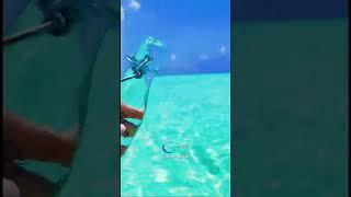 Have you seen water this clear via sallytrubella tiktok