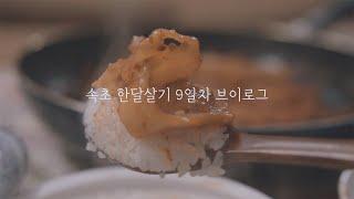 30만원으로 속초 한달살기 9일차 l 국내 여행 브이로그 l 강원도 #한달살기