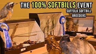 The 100% SOFTBILLS Event - Bird Show - UK - 2022