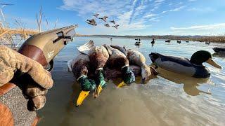 Wahnsinnige Flussentenjagd spät in der Saison! (Solo-Limit)