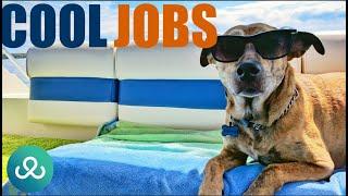 Coolest Job in the World: When Work is Too Cool for School | Get Paid Being Awesome