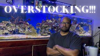 Reef Tank Overstocking Dangers