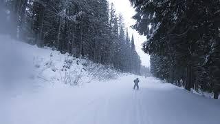 Fernie Ski Trip day 5, 2019 12 19