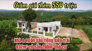 Nhà vườn Bảo Lộc | Căn nhà & Vườn sầu riêng 877m² có sẵn 200m²  thổ cư giá cực tốt - #bdsbaoloc