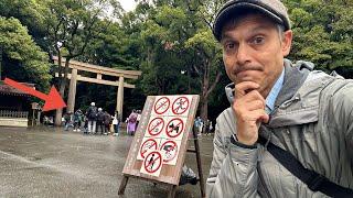 Tokyo: Fallout from Vandalism at Meiji Shrine