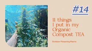 11 things  I put in my organic compost tea for flowering plants  2025