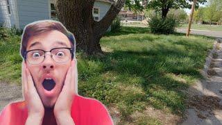 HOMEOWNER STUNNED how much SPACE is in his YARD - FREE OVERGROWN YARD TRANSFORMATION [WITH REACTION]