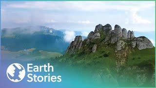 Protecting One Of Europe's Largest Mountain Ranges | Wild Carpathia