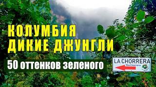 По ДЖУНГЛЯМ к Невероятным водопадам Колумбии! Что нужно знать? Гид, Экипировка, Безопастность.