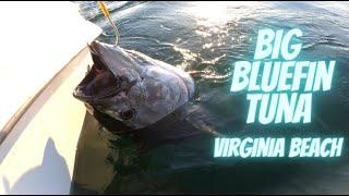 Catching Big Bluefin Tuna Right Off The Coast Of Virginia Beach (Fish Breaks Gunnel On Boat!!!)