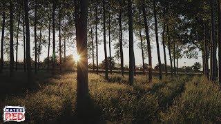 How to Tell Time in the Woods with Cambo