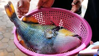 Vietnamese Street Food - GIANT TRIGGERFISH SASHIMI Barbecue Seafood Vietnam