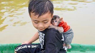 Baby Monkey’s Life Gets a New Beginning After Adoption – Adorable Moments!