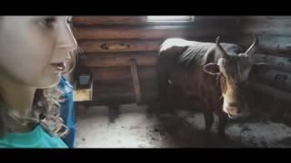 Ешь Российское - Экодеревня 'Бабин двор'