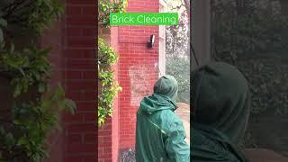 Brick Cleaning Service