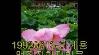청화큰스님 설법
