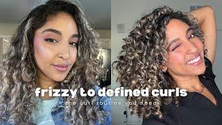 In depth Curly hair routine for dry, bleached curls ft. Monat hair care