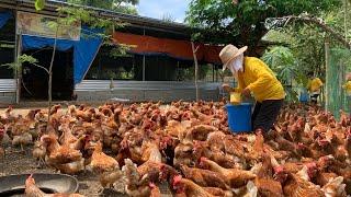 From OFFICE GIRL to FARM GIRL