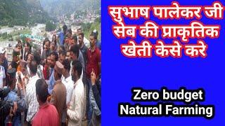 Zero Budget Natural Farming With Subash palekar in Apple ||सेब की प्राकृतिक खेती केसे करे