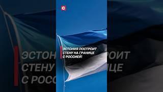 Эстония построит стену на границе с Россией! #эстония #граница #кризис #россия #политика #новости