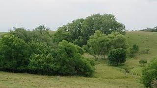 Sheep Production With a First-Generation Farmer