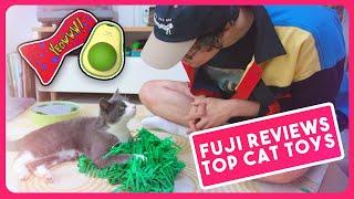 My Cat Reviews Top Rated Cat Toys