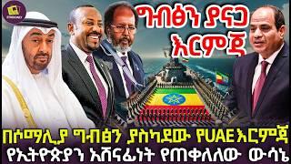 የኢትዮጵያን አሸናፊነት የጠቀለለው የUAE አዲሱ እርምጃ በሶማሊያ | ግብፅ ያልጠበቀቺው ሆነ | የካይሮ አፍ ያዘጋ ውሳኔ!