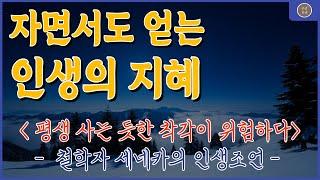  잠들기 전 듣는 인생 철학 | 세네카 명언 | 힐링 오디오 | 삶의지혜 | 인간관계 | 명언 | 좋은글귀 | 노후의삶 | 행복