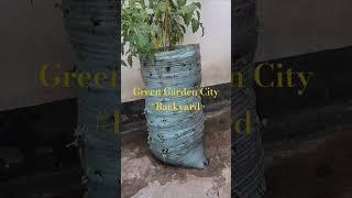 Wish to Grow Veggies but No spaces! Problem Solved!
