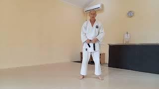 Просто дзю-дзюцу: "Мидзу-гурума" из кито-рю ju-jutsu: "Mizu-guruma" from kito-ryu