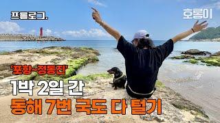 프롤로그. 강아지랑 1박 2일 간 7번 국도 동해 해수욕장 다털기 / 닥스훈트 호롱이 브이로그