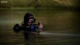 Cave diving reveals secret world  - Earth - The Power of the Planet - BBC