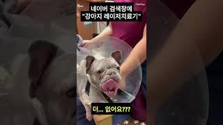 강아지 레이저치료 다양한 얼굴들..... 하...    #강아지치료 #강아지재활 #강아지산책 #강아지쇼츠 #고양이치료 #고양이재활 #강아지허리디스크 #강아지관절염