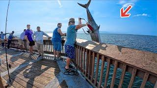 Pier Fisherman's Dream Fish Caught From This Gulf Pier!