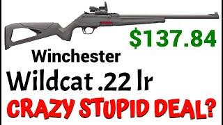 Winchester Wildcat 22 lr REVIEW