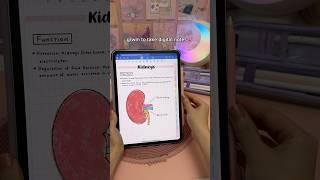 grwm to take digital notes  iPad note taking | goodnotes app | study notes | iPad accessories