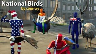 National Birds by Countries | #nationalbirds