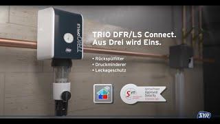 Trio DFR/LS 2024 DE