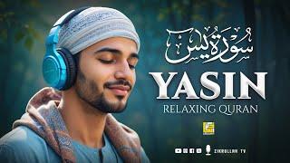 Surah Yasin (Yaseen) سورة يس | Relaxing heart touching Angelic voice | Zikrullah TV