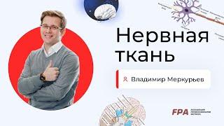 Нервная ткань | Владимир Меркурьев (FPA)