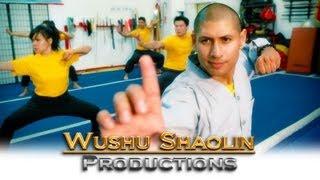 Kung Fu Online : Shifu Sal Redner : Wushu Shaolin Online Course 2012