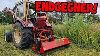 Der Endgegner! | Chinamulcher an der Grenze? | Blumenwiese mulchen | Dema Mulcher | IHC 633