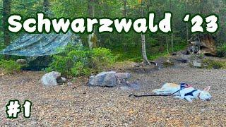 Die Tour beginnt - Schwarzwald-Tour mit Hund (1/5)